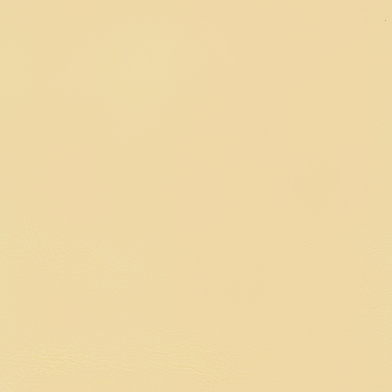  Nappa | Autoleder champagner