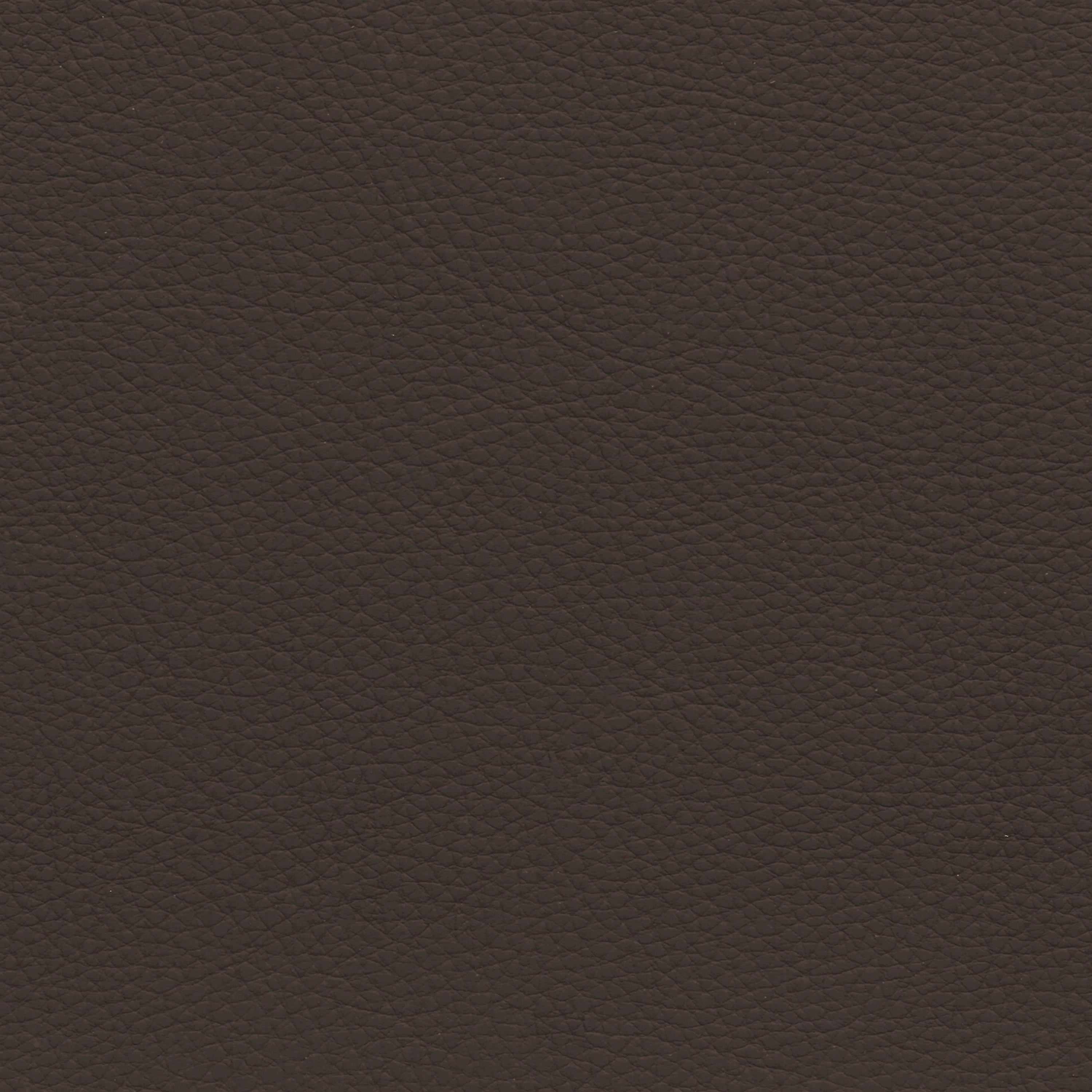  BMW Leder | Dakota tabak