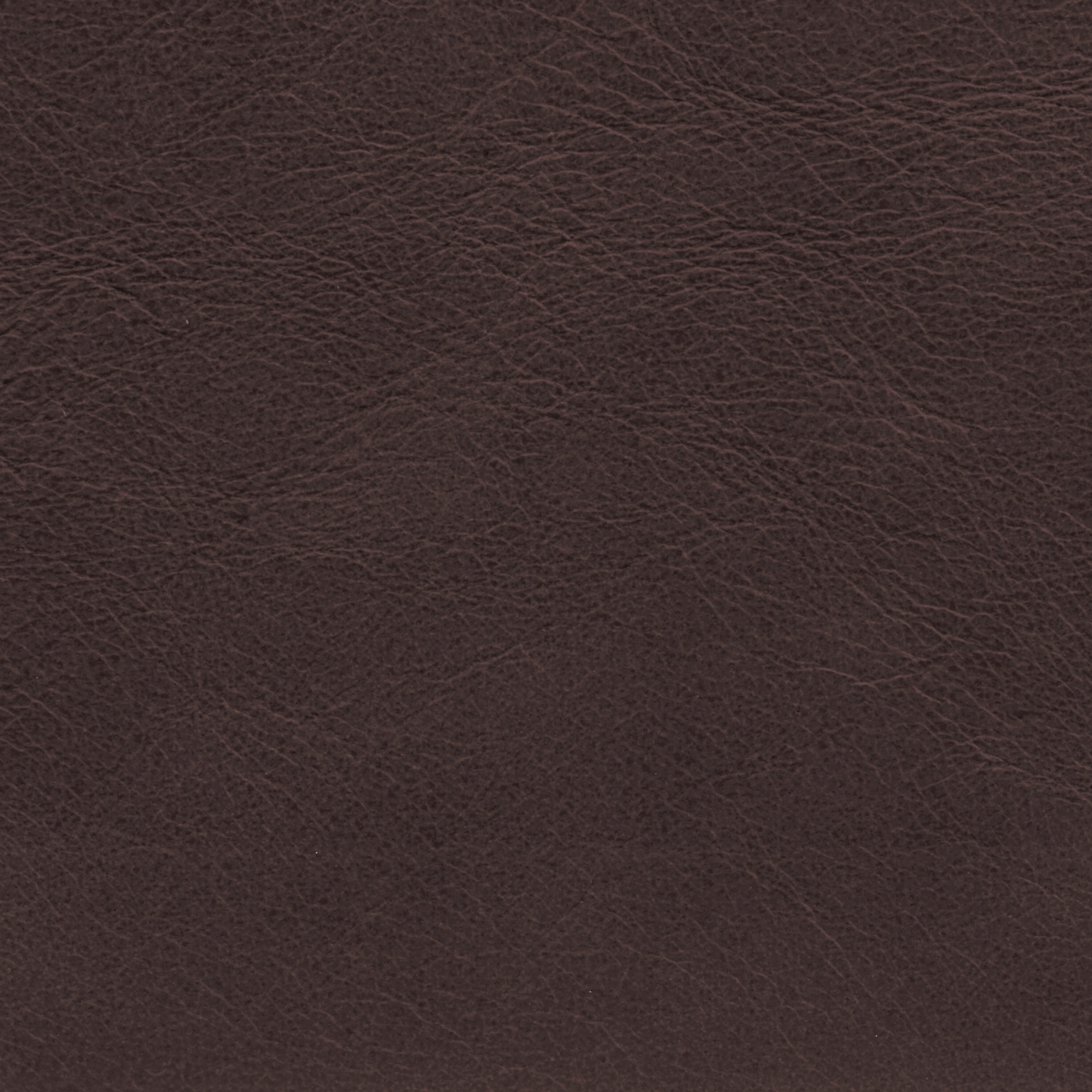  Savanne | Büffelleder dark cognac