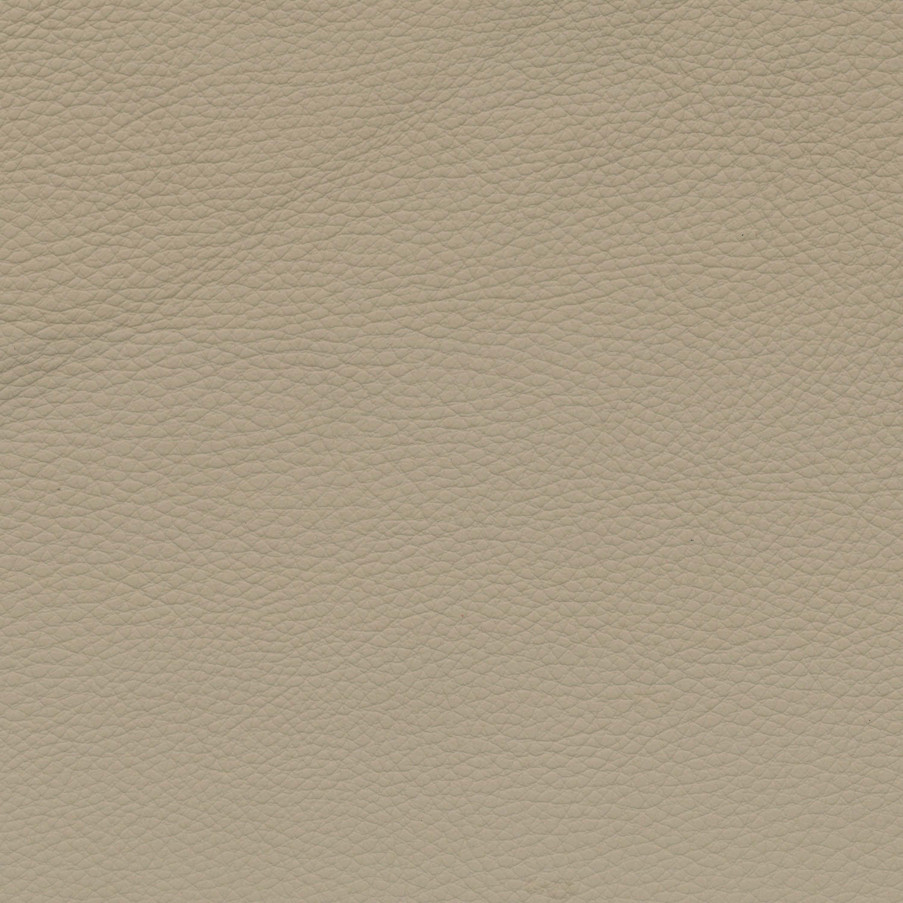  BMW Leder | Dakota creambeige V2