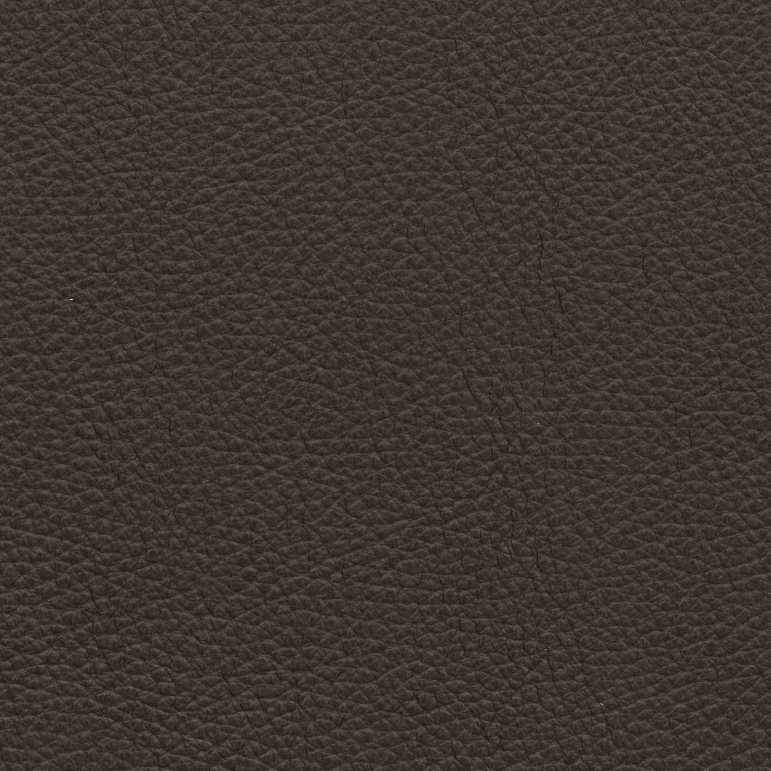  Paris | Rindleder marone