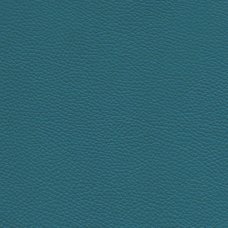  Frisco | Echtes Rindsleder dark turquoise