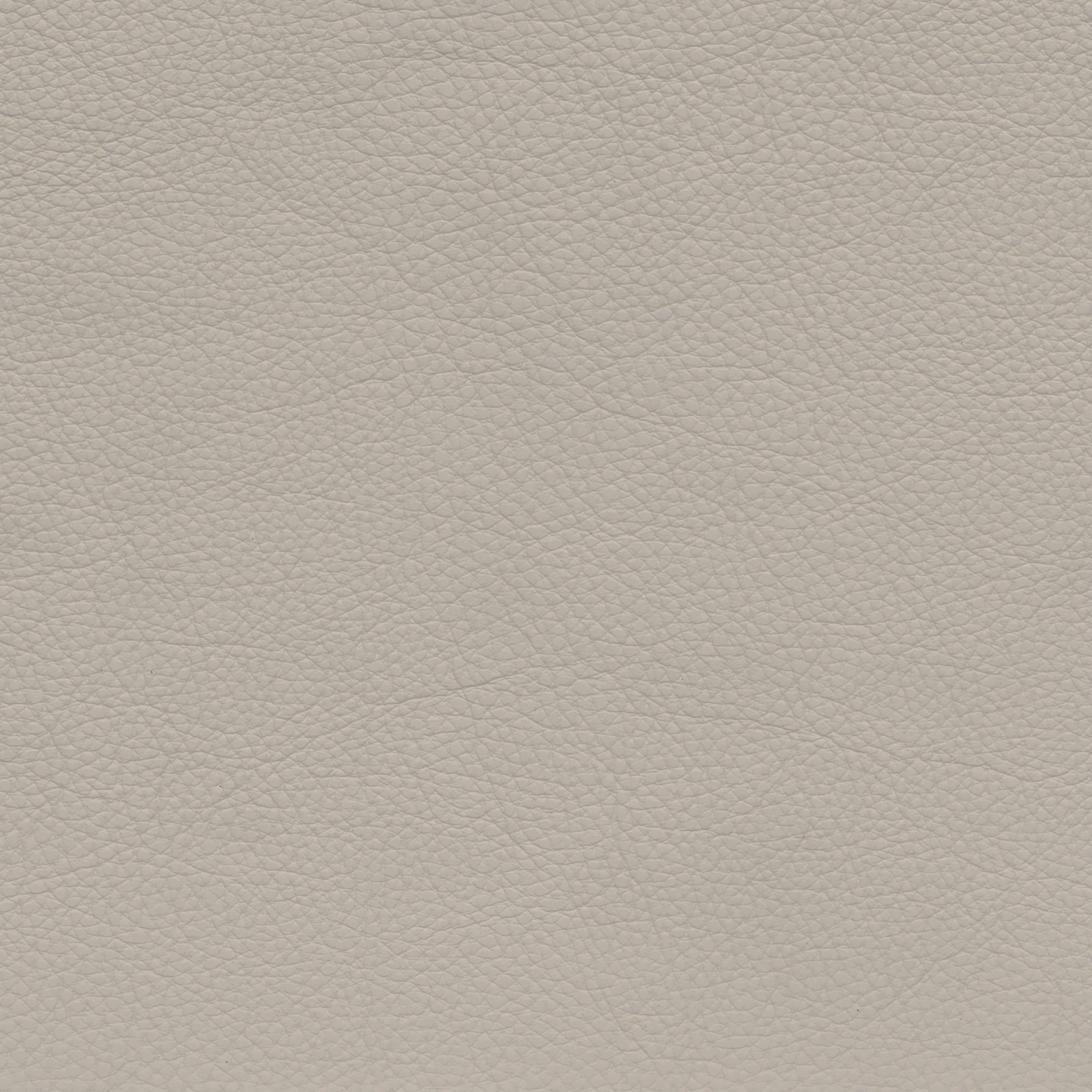  BMW Leder | Montana hellgrau