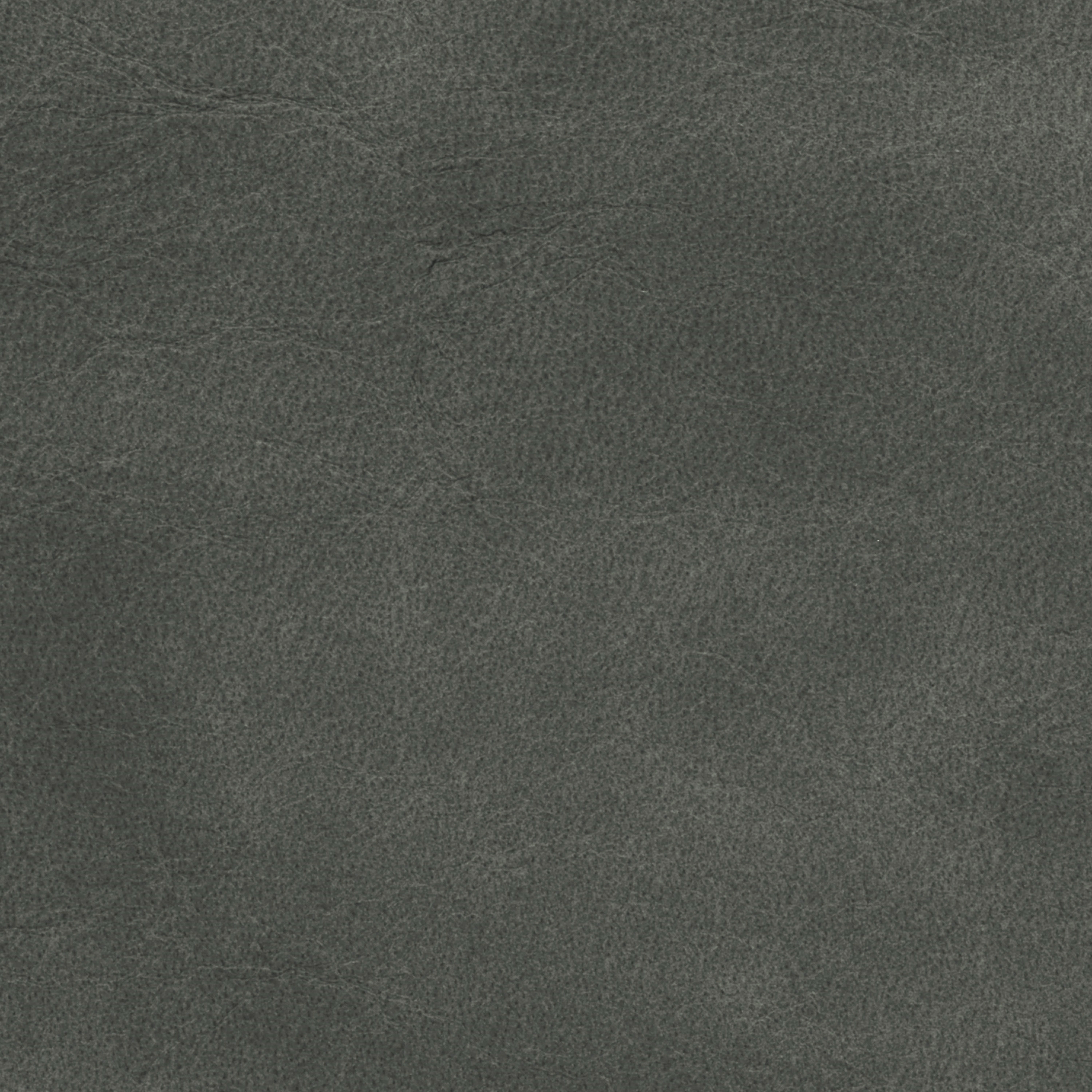  Savanne | Büffelleder anthracite gray