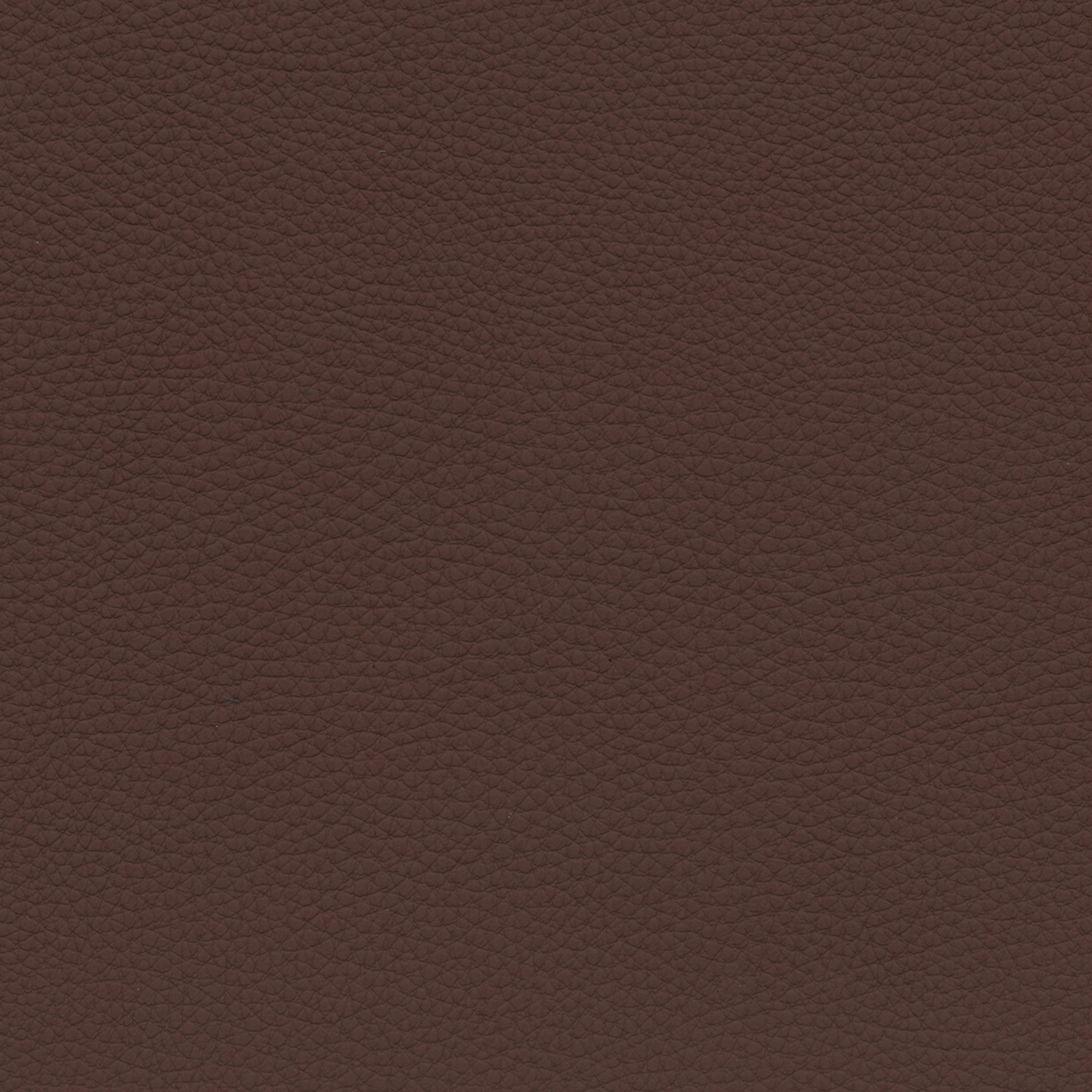  BMW Leder | Dakota zimtbraun