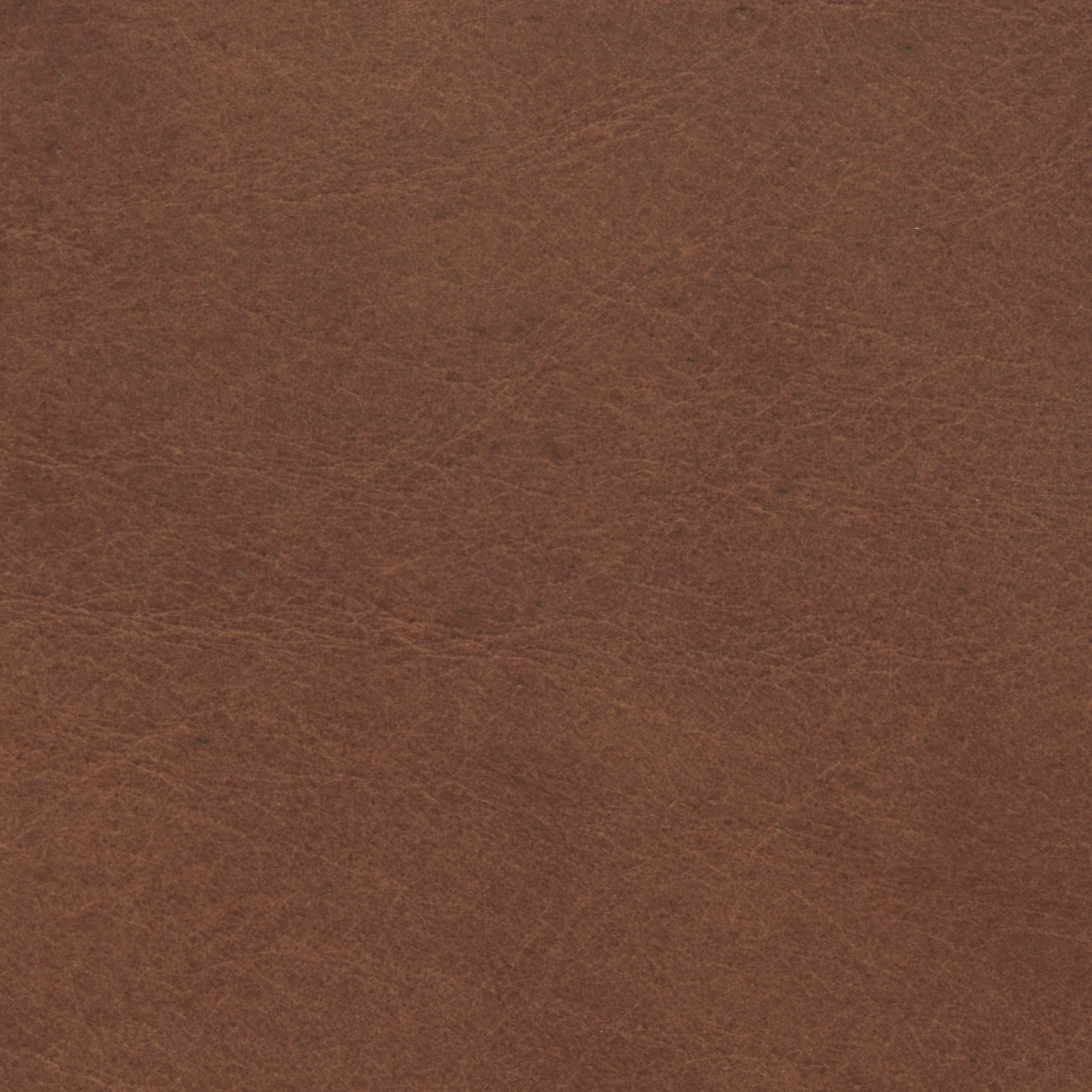  Savanne | Büffelleder cognac