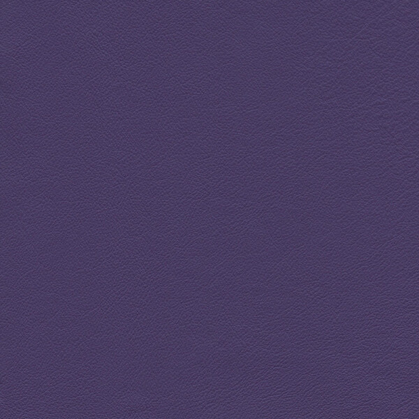 Colorado | Rindleder purple violett