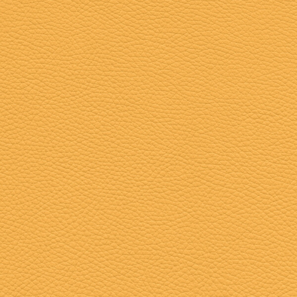 Frisco | Echtes Rindsleder yellow orange