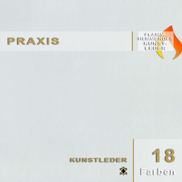 Praxis | Kunstleder