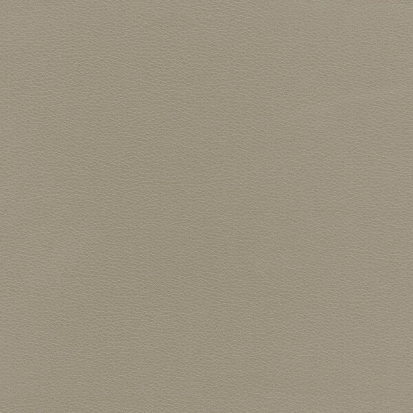 Caribic | Kunstleder beige gray