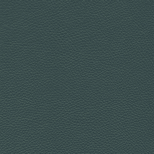 anthracite green