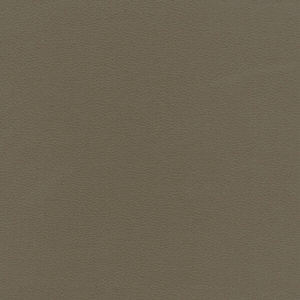 umber gray