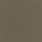 umber gray