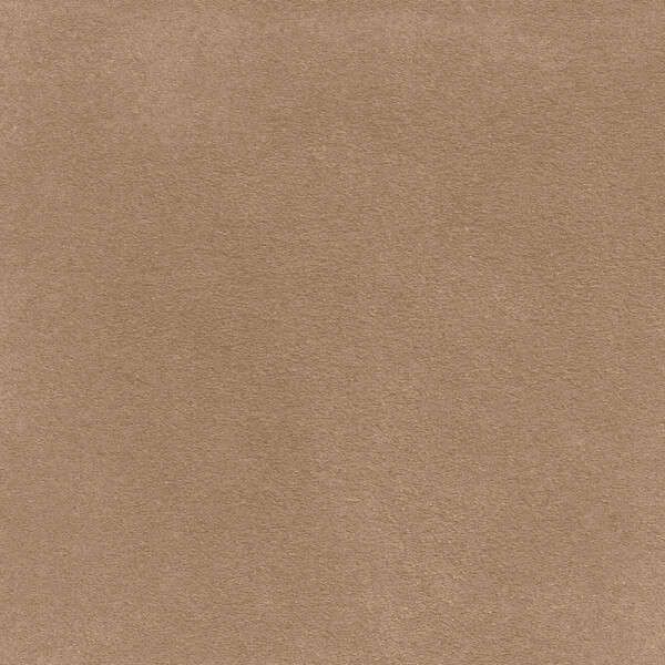 graysh beige