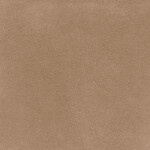 graysh beige