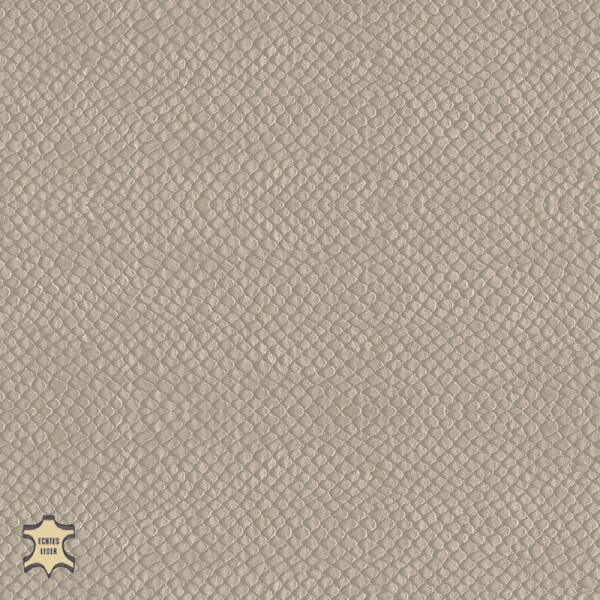 gray beige